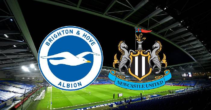Nhận định kqbd Brighton vs Newcastle, 21h ngày 13/8
